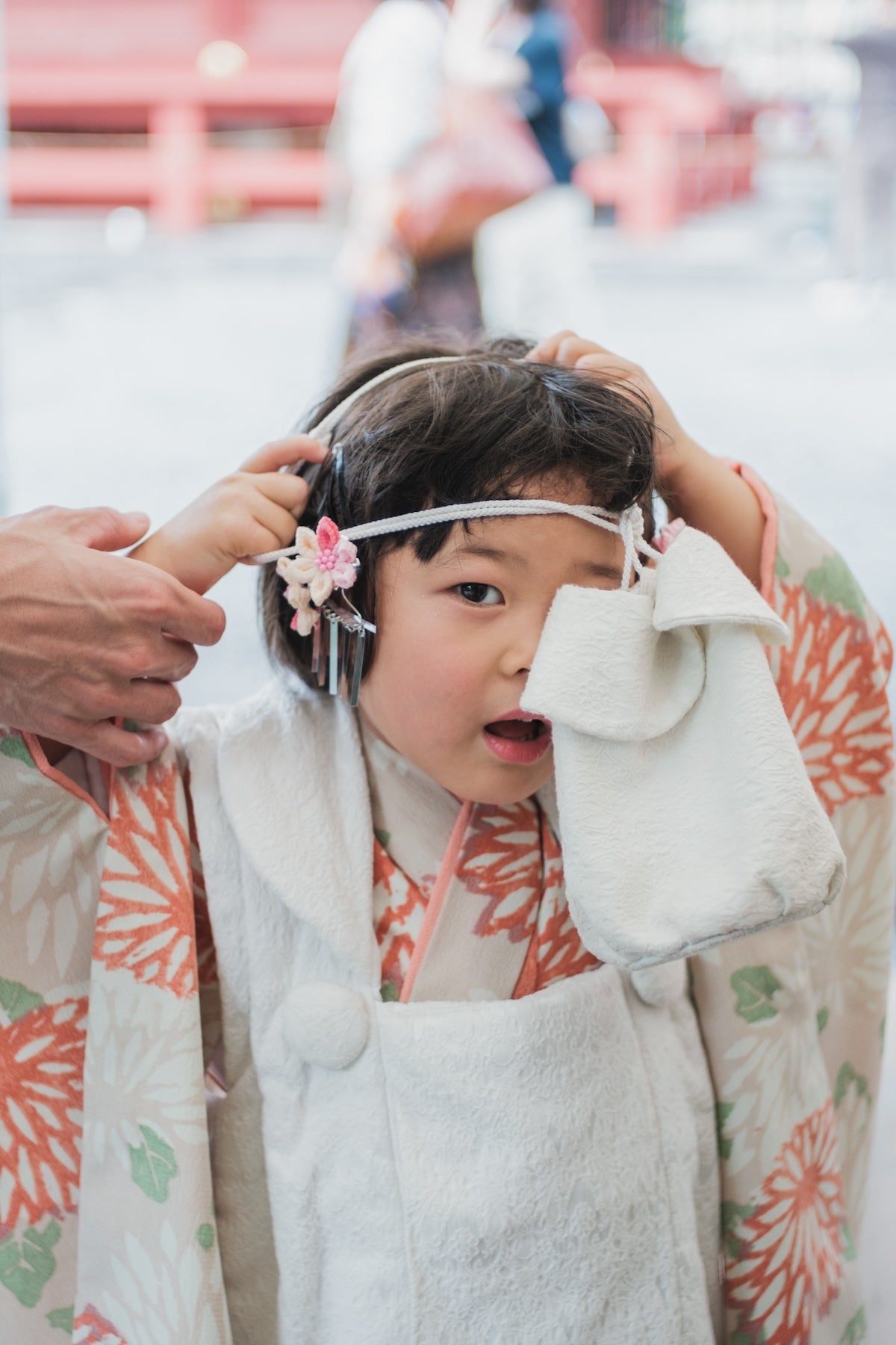 FAMILY写真管理（販売用ではありません）