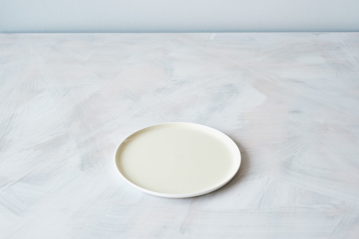 S&B Flat Plate 120