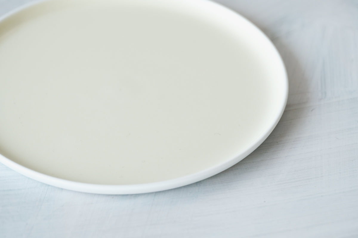 S&B Flat Plate 120