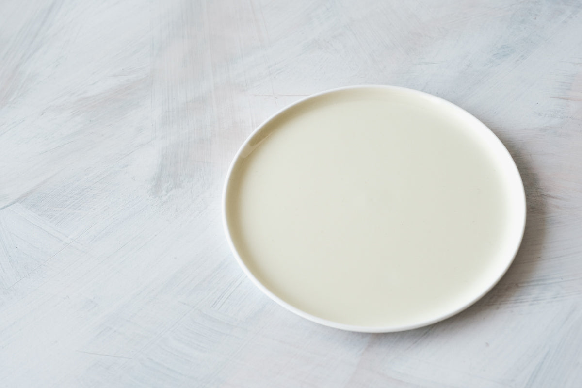 S&B Flat Plate 120